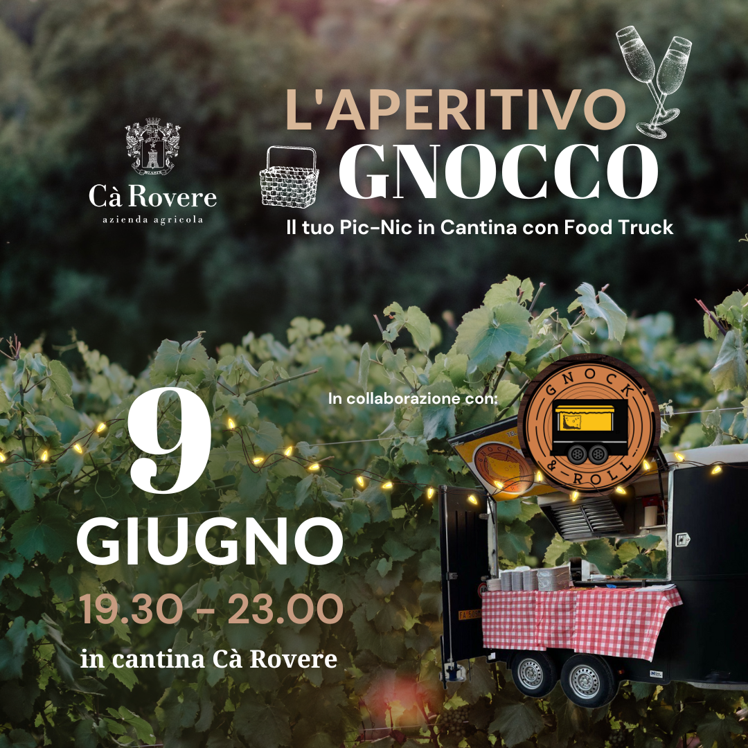 Gnocco aperitif: picnic in the vineyard and food truck